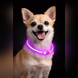 Rechargeable‎ LED Dog Collar | Light Up Safety Collar | Waterproof |Pink